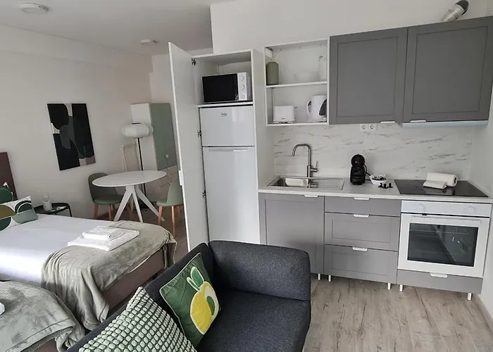 Green Studio Apartment