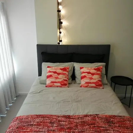 Green Studio Apartment